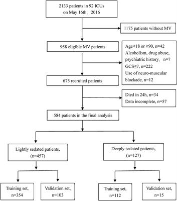 Factors Associated With Deep Sedation Practice in Mechanically Ventilated Patients: A Post hoc Analysis of a Cross–Sectional Survey Combined With a Questionnaire for Physicians on Sedation Practices